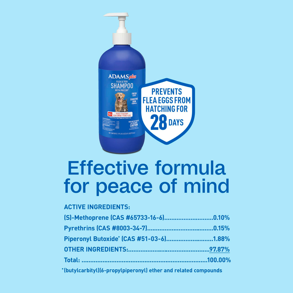 Step-by-step application of ADAMS Plus shampoo during grooming.