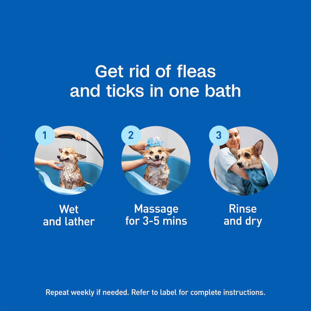Bath time with ADAMS Plus shampoo showing creamy lather.