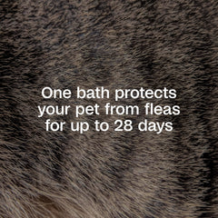 Pet coat looks soft and shiny after using ADAMS Plus shampoo.
