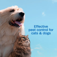Close-up of ADAMS Plus shampoo lather on a pet's coat.