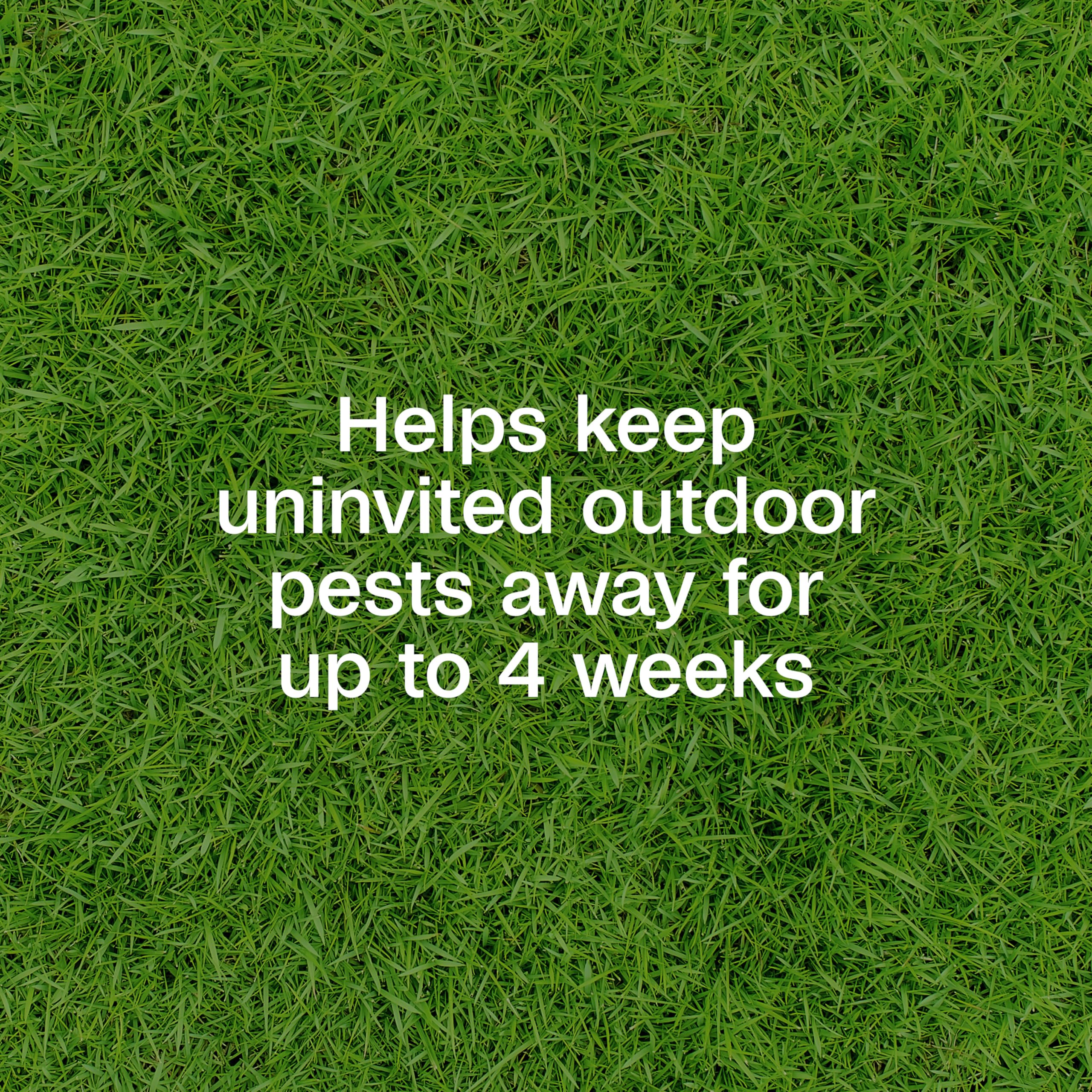 Lawns treated with ADAMS Plus Yard Spray; coverage up to 5,000 square feet.