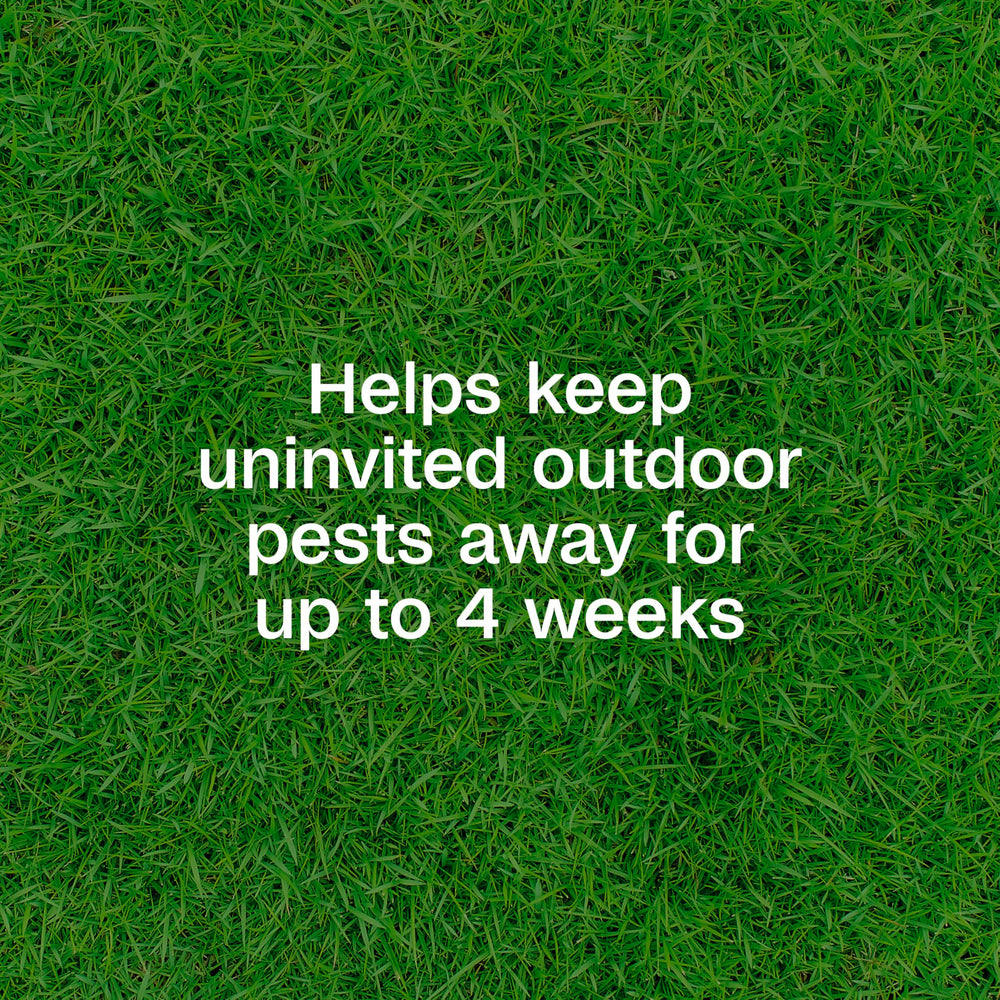 Lawns treated with ADAMS Plus Yard Spray; coverage up to 5,000 square feet.