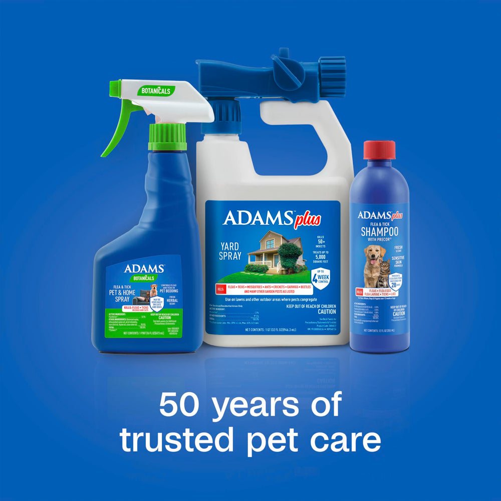 Porch and foundation areas protected by ADAMS Plus Yard Spray.