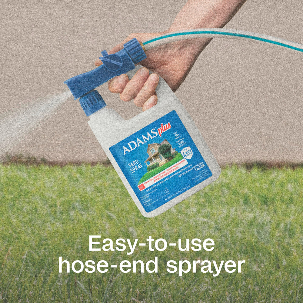 ADAMS Plus Yard Spray protects against fleas and ticks outdoors.