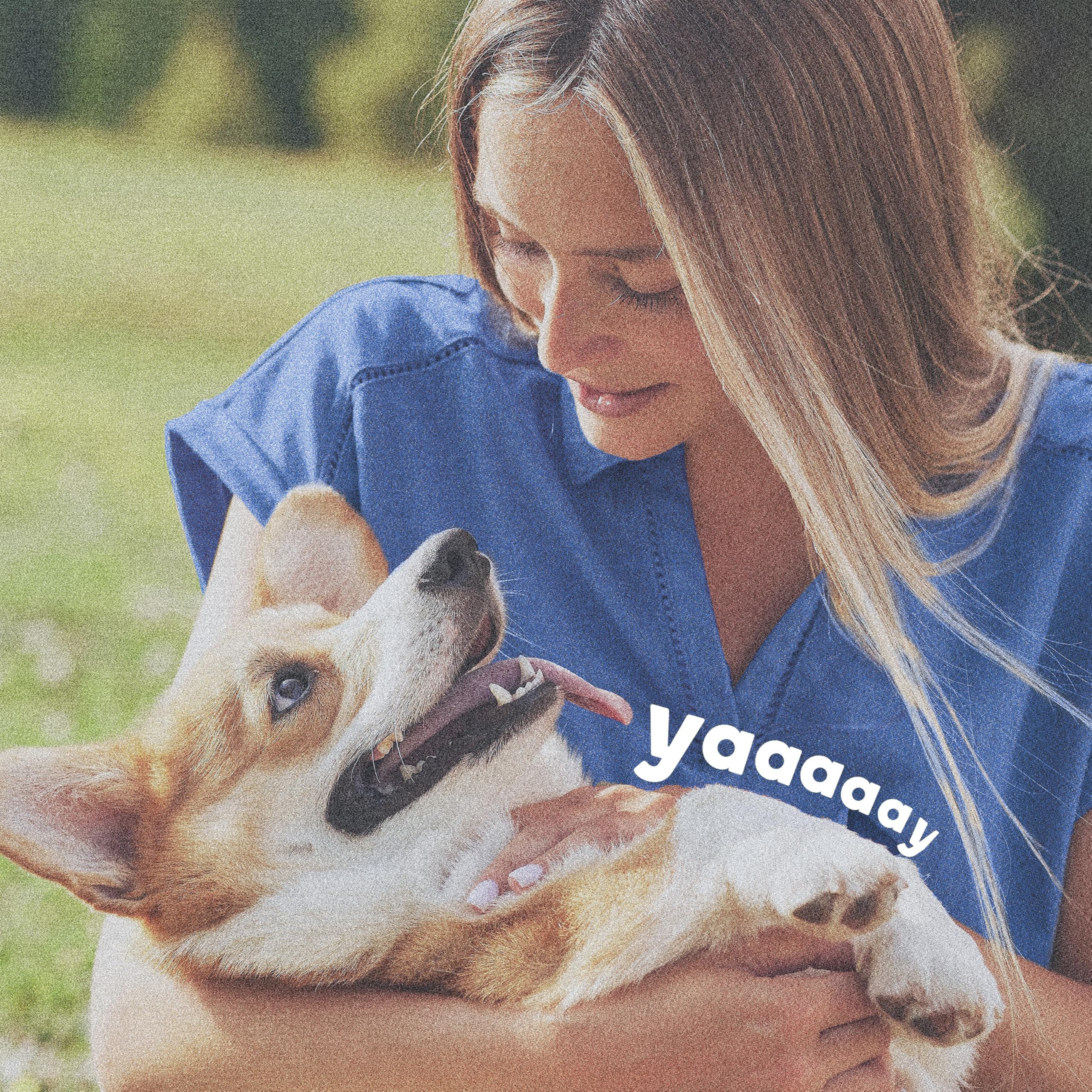 Two-pack packaging offers up to 12 months of flea and tick defense.