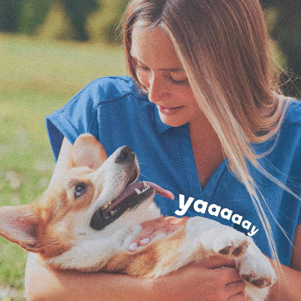 Two-pack packaging offers up to 12 months of flea and tick defense.