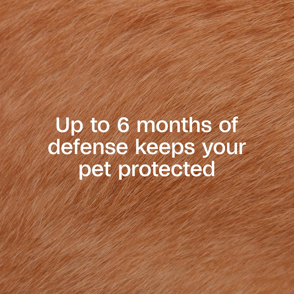 Water-resistant dog collar withstands swimming and rain for continuous defense.