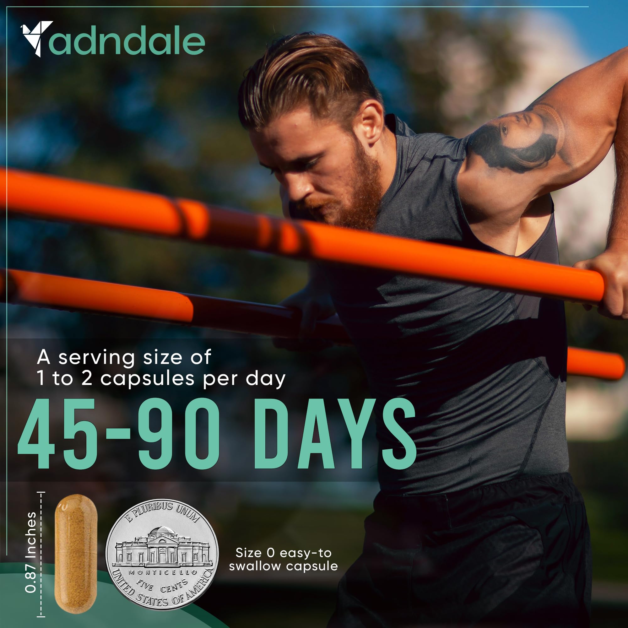 Adndale capsules shown for daily use during busy days.