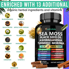 Ingredients panel of Adndale Sea Moss Capsules featuring herbal extracts