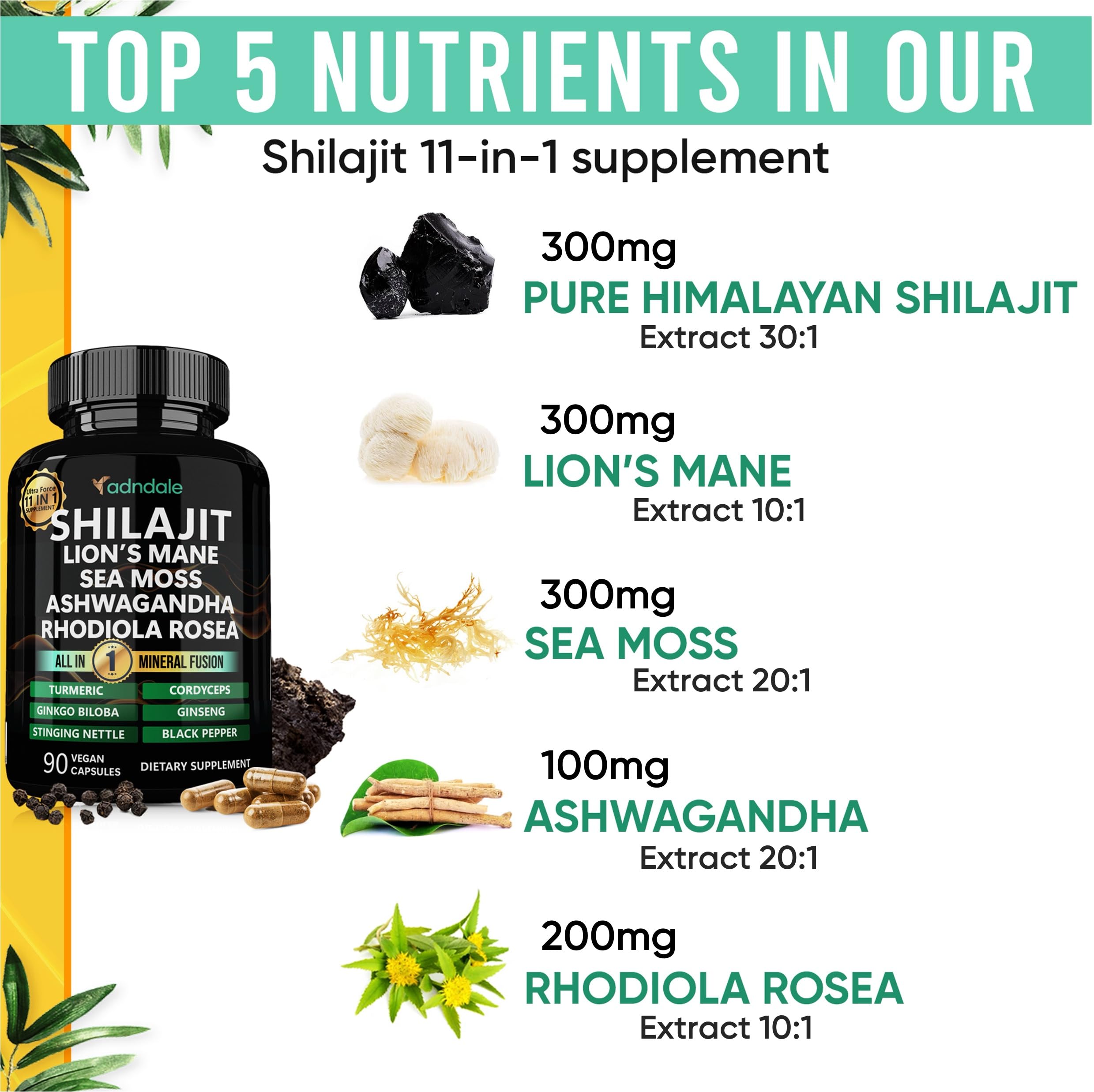 Adndale Shilajit capsules closeup emphasizes potency and vegan formulation.
