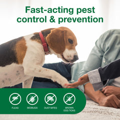 Carpet fibers receive Advantage Spot Spray for thorough pest coverage.