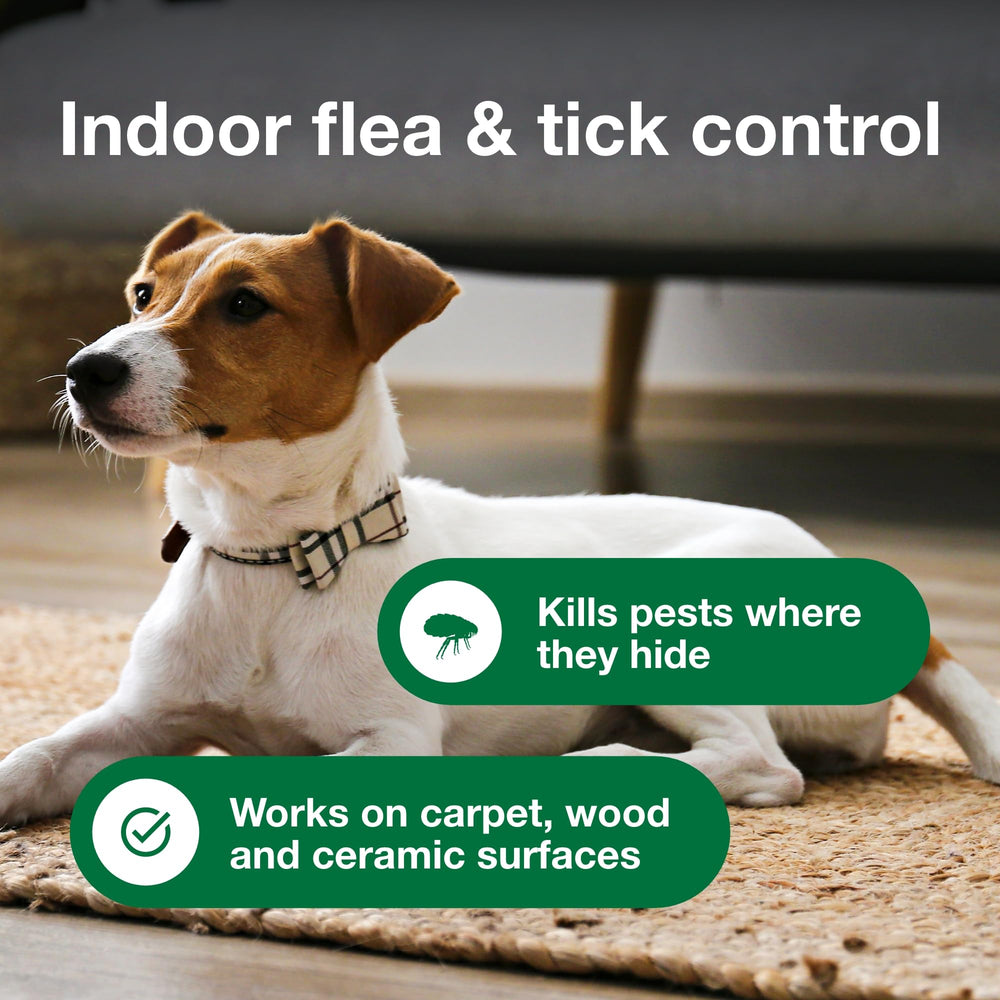 Ceramic surfaces are safe to treat with Advantage Spot Spray.