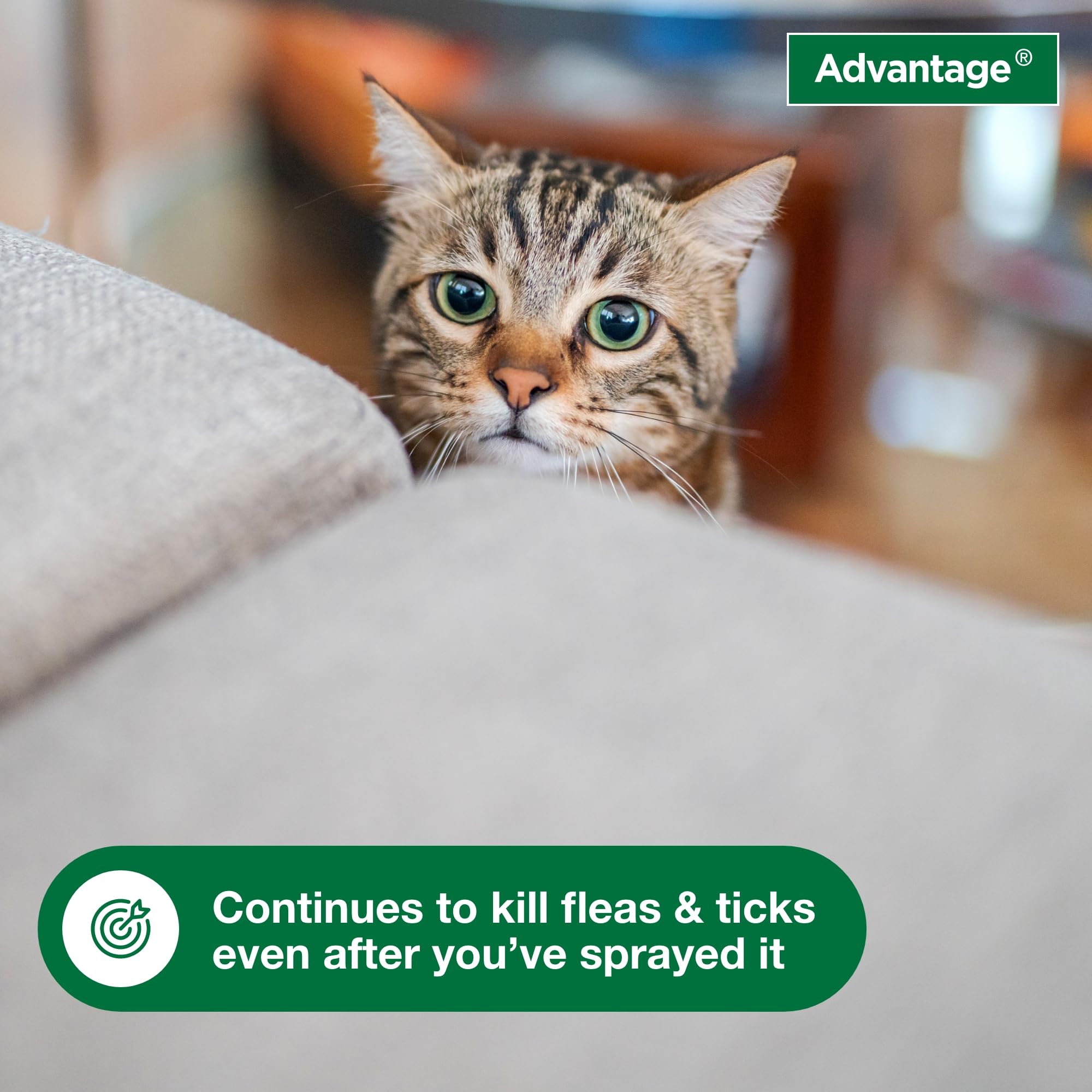 Cracks and baseboards treated with Advantage Spot Spray for hard-to-reach areas.