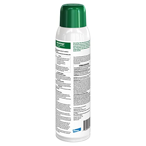 Advantage Carpet & Upholstery Spot Spray on sofa shows targeted fabric treatment.