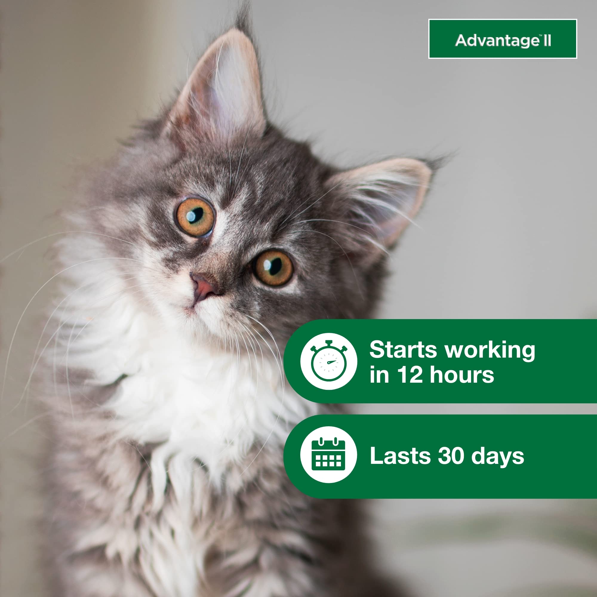 Fragrance-free formula of Advantage II Kitten ready for use on fur.
