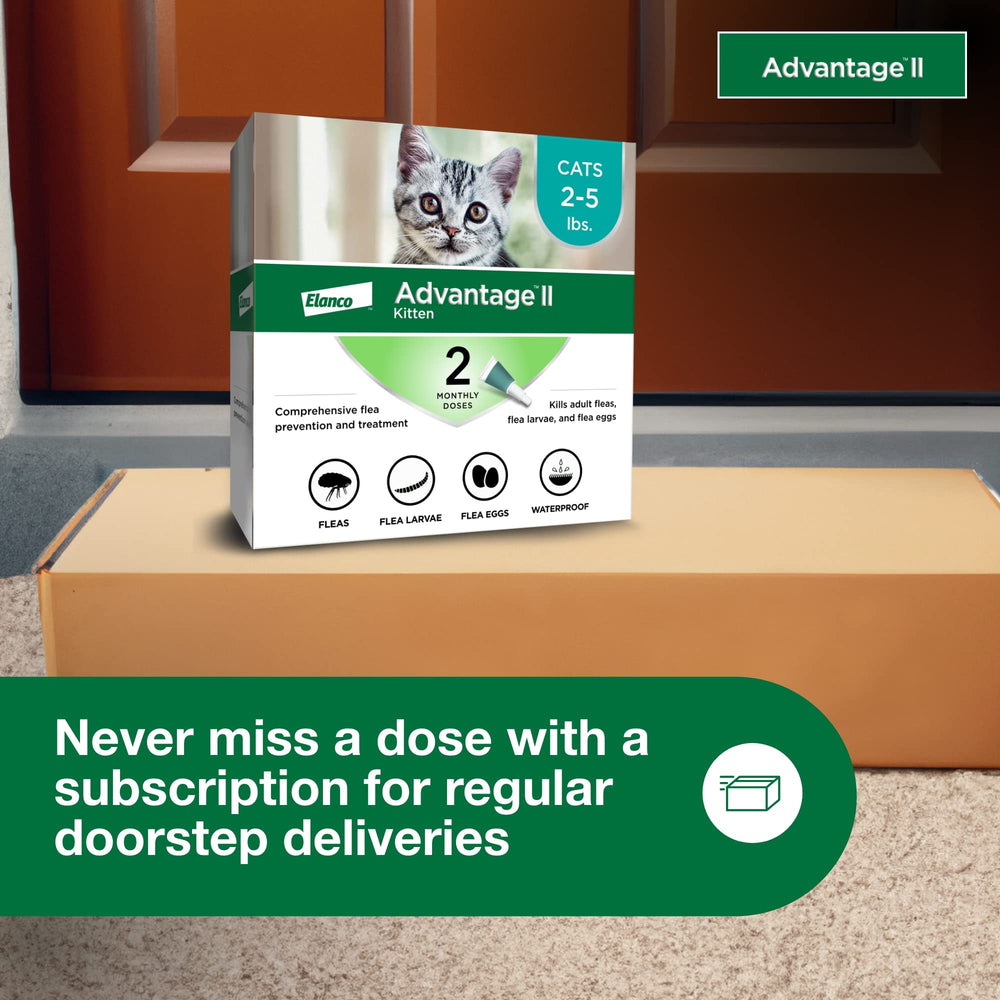 Subscription option for monthly Advantage II Kitten flea protection delivery.