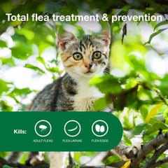 Advantage II Kitten tube tip ready for skin application on the kitten.