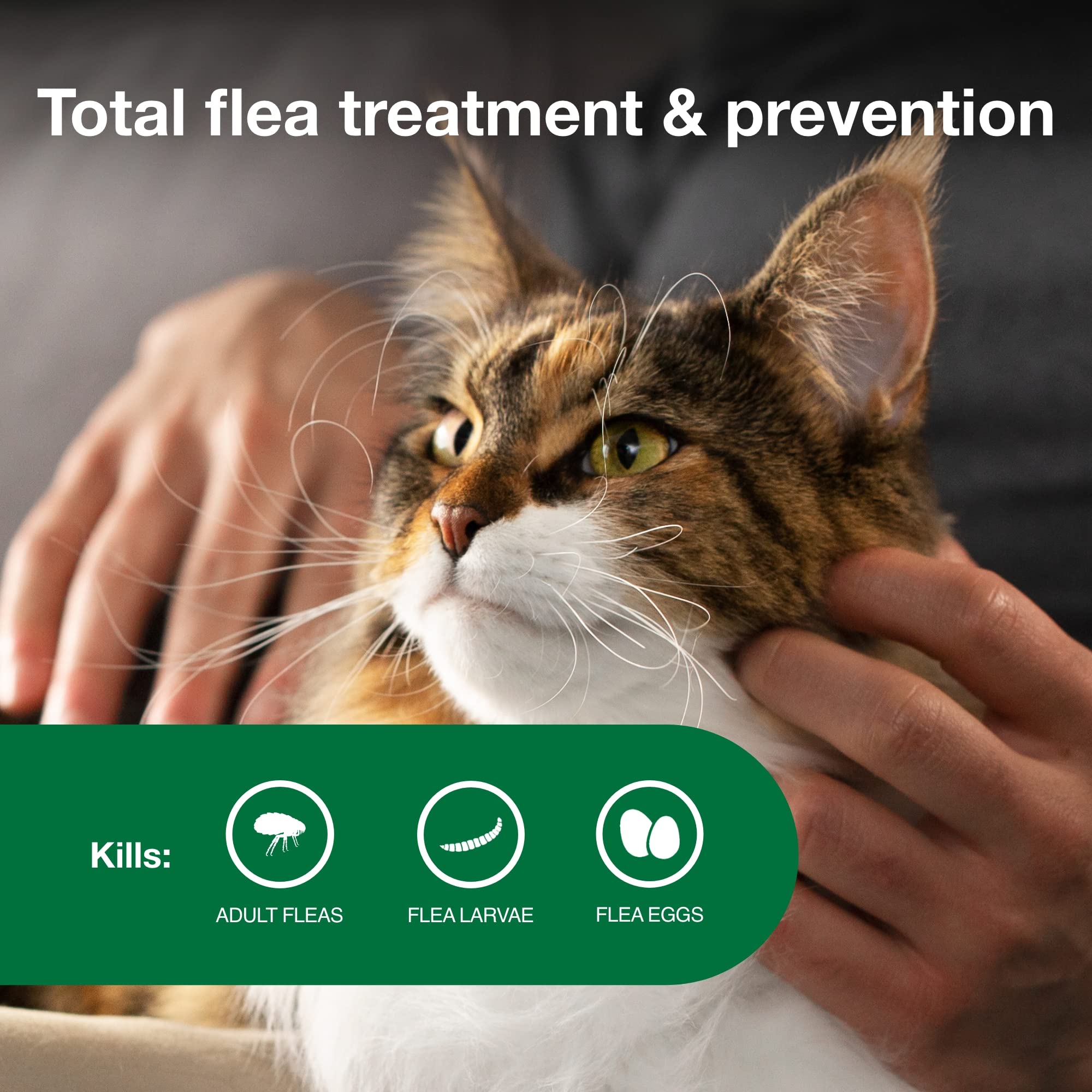 Advantage II Large Cat targets flea larvae and eggs to help reduce infestation.