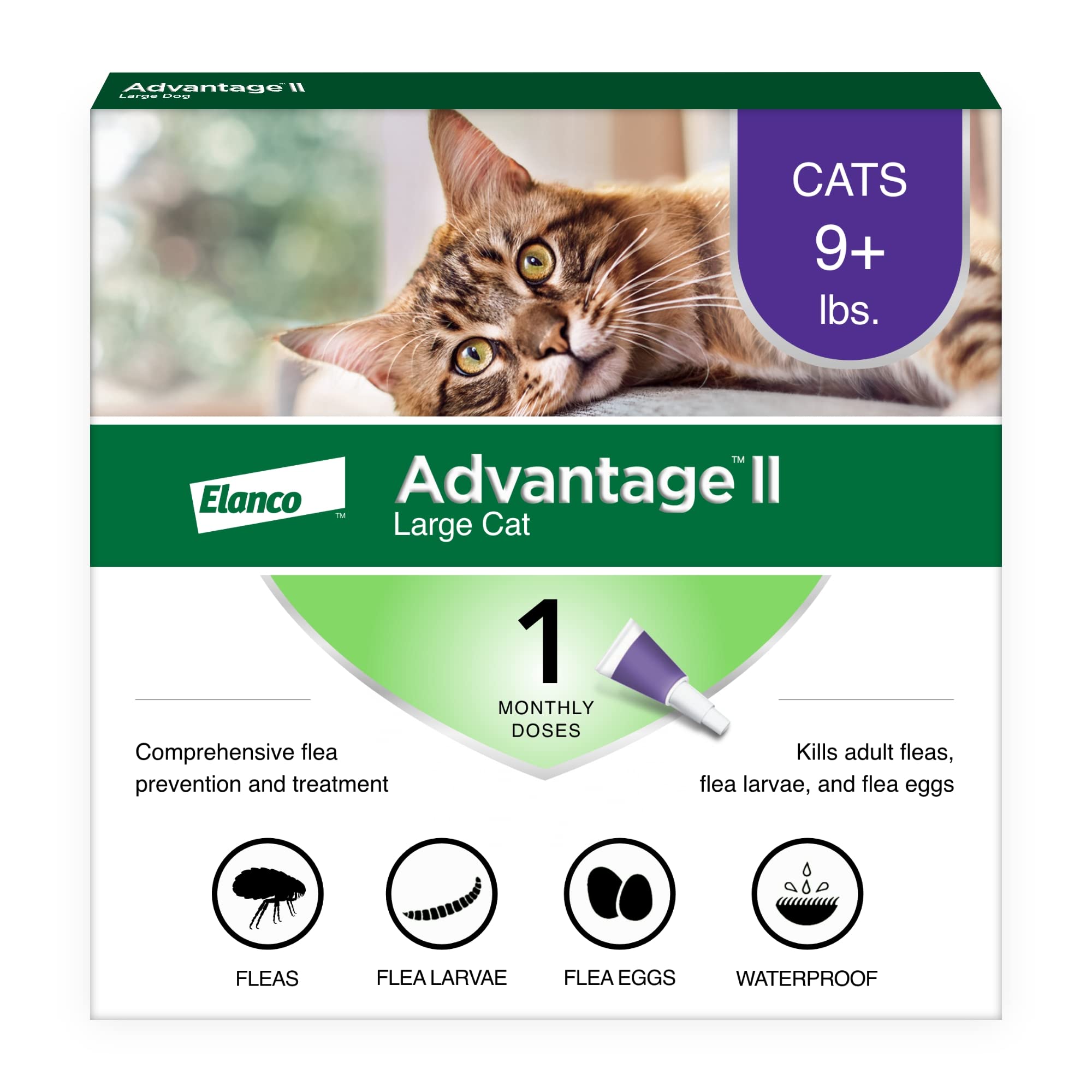 Advantage II Large Cat flea treatment bottle for easy monthly use.