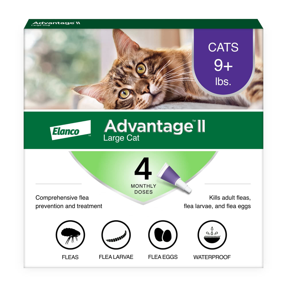 Advantage II Large Cat flea-tube front view, easy application.