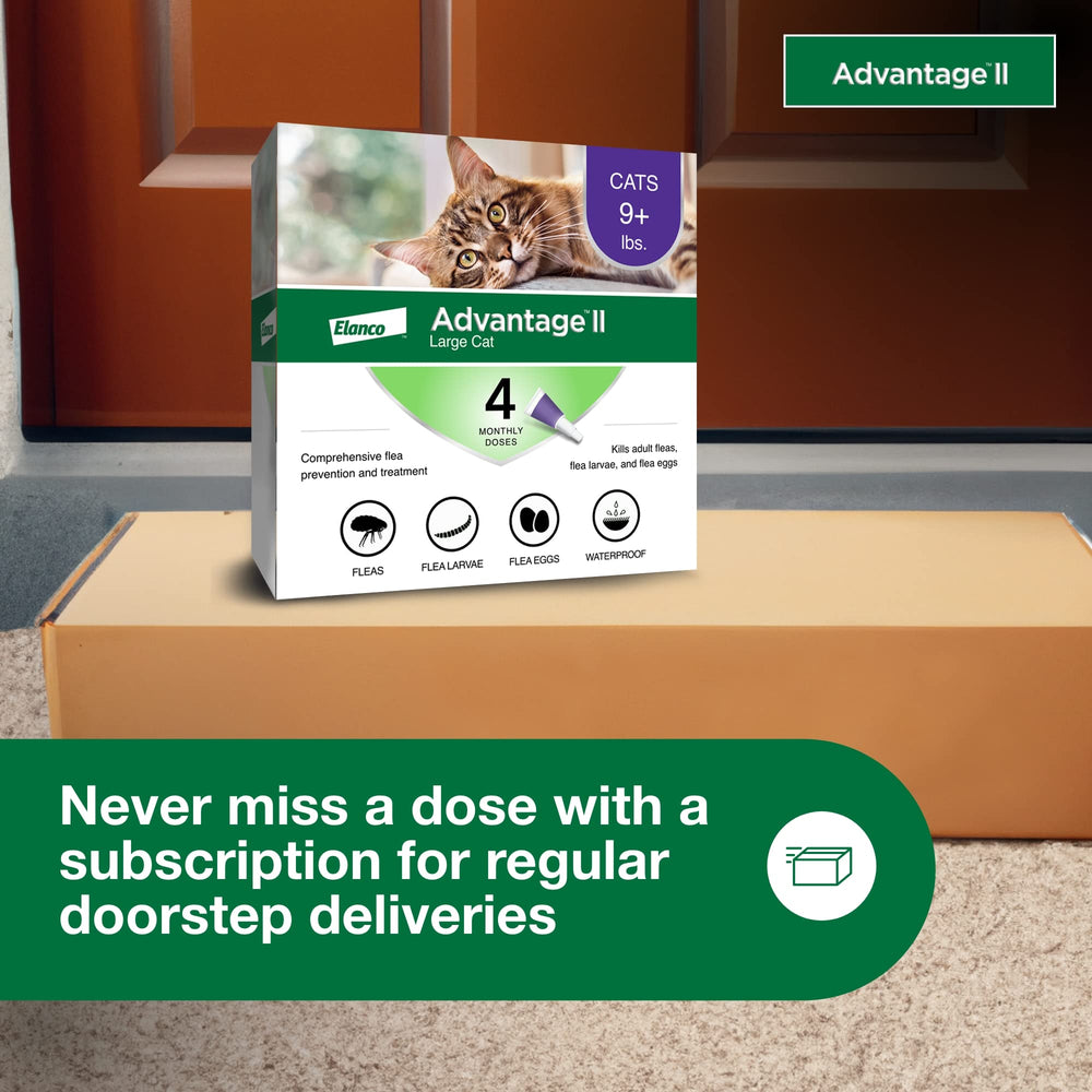 Advantage II Large Cat also targets larvae and eggs to slow the life cycle.