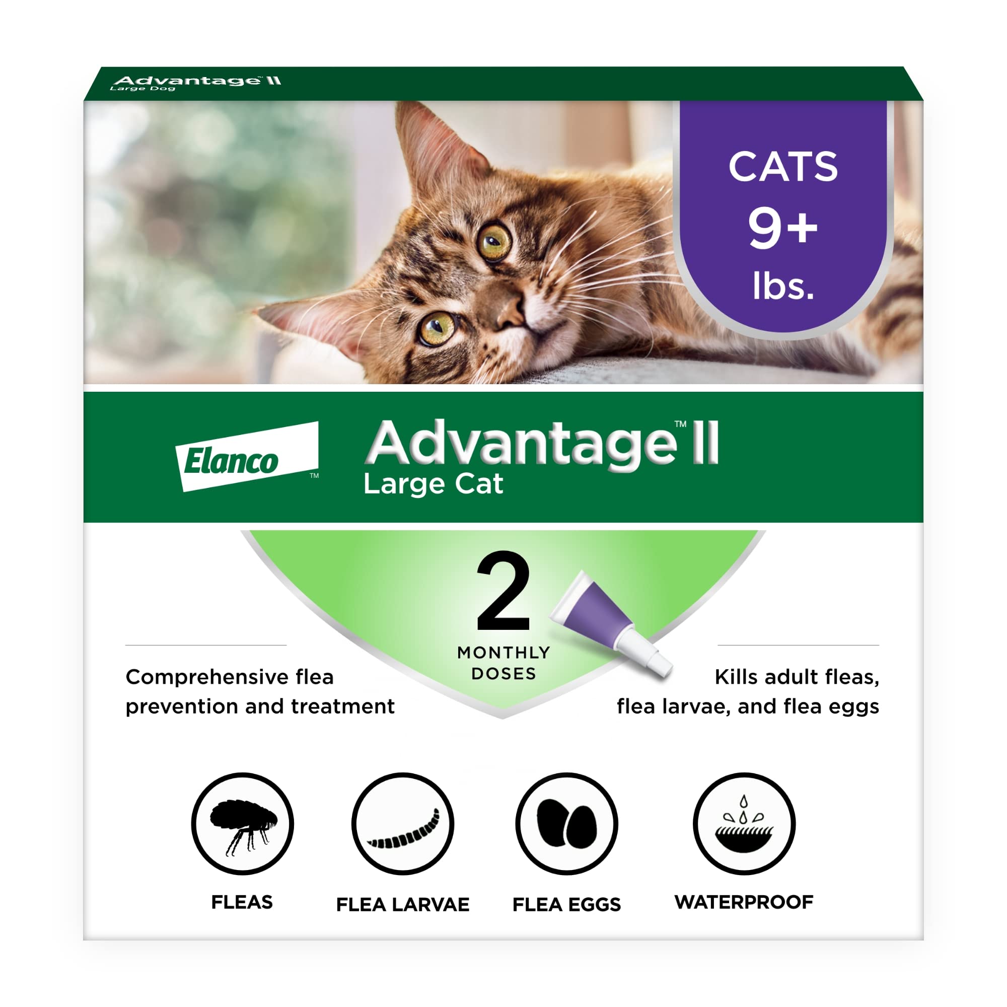 Advantage II Large Cat neck spot-on application on cat scruff for easy flea care.