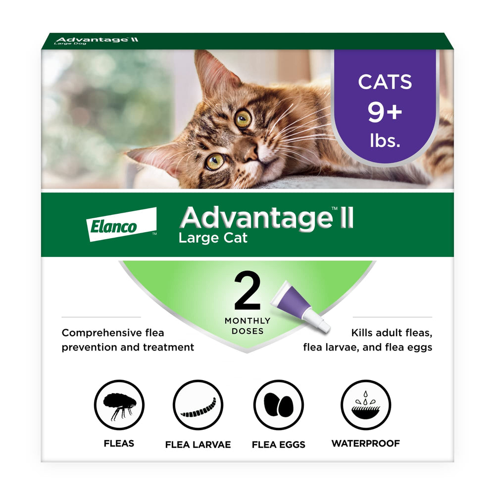 Advantage II Large Cat neck spot-on application on cat scruff for easy flea care.