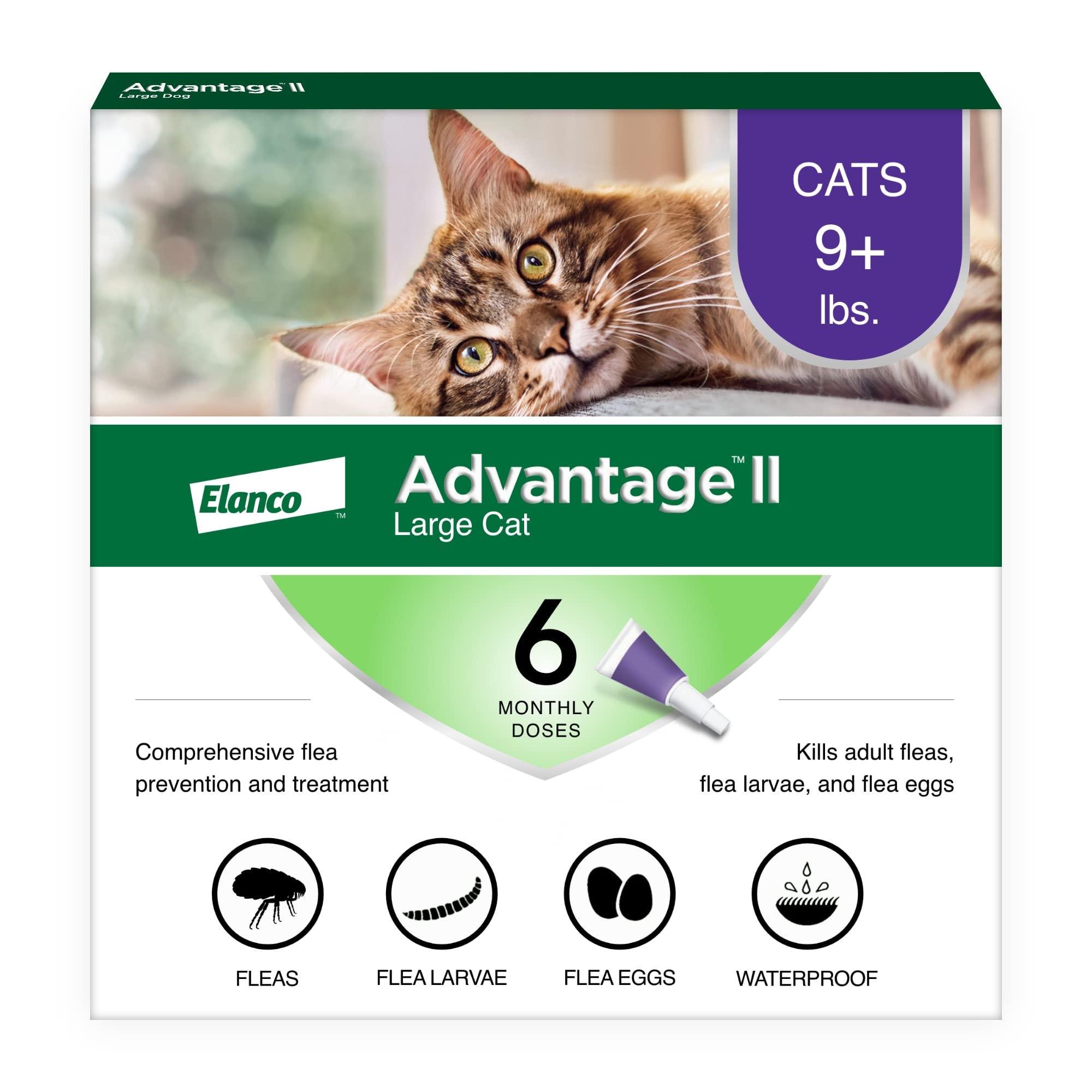 Advantage II Large Cat spot-on application on the neck for quick protection
