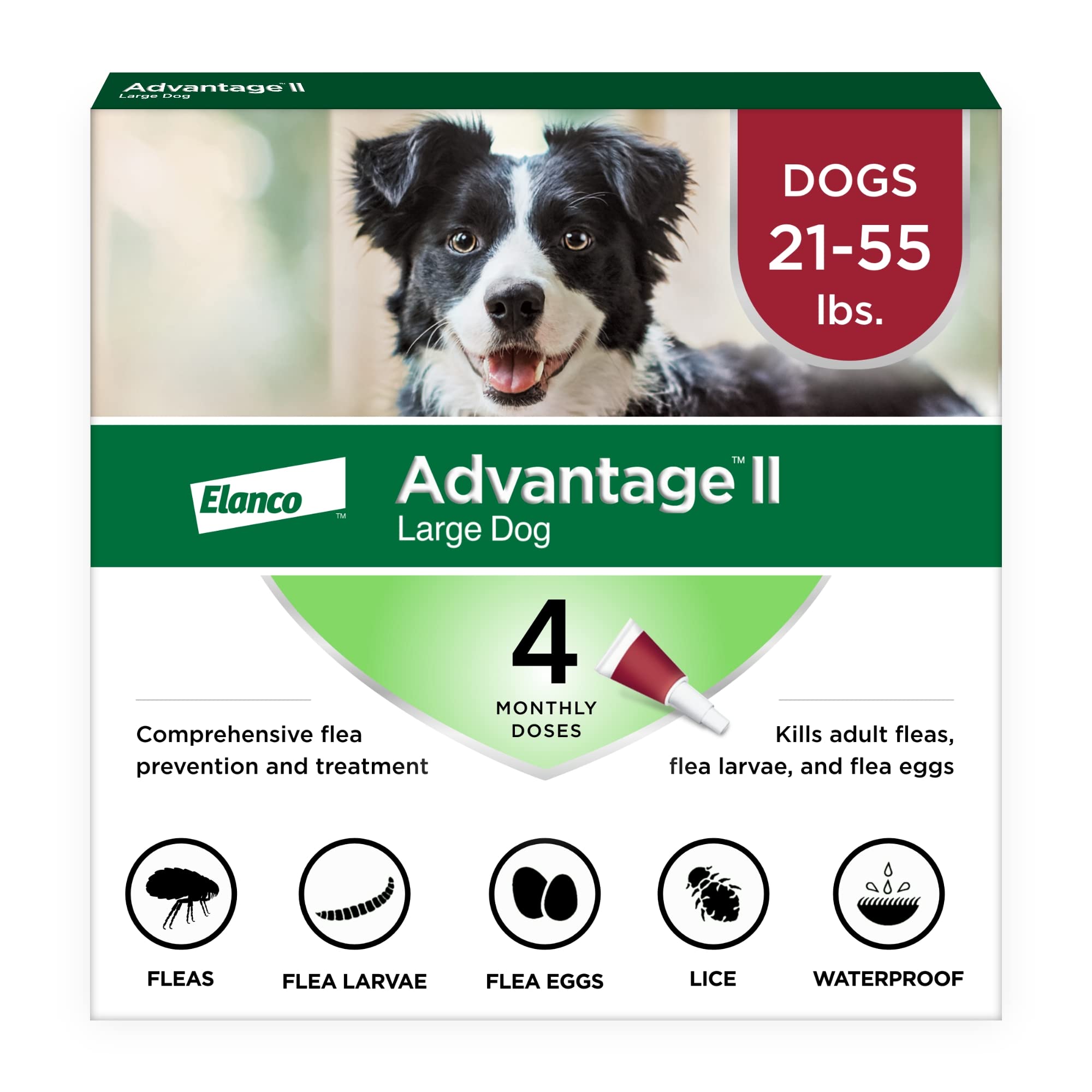 Advantage II Large Dog application on the back shows easy spot-on protection