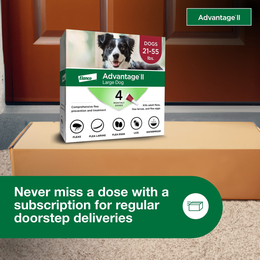 Advantage II Large Dog fragrance-free formula for over the counter use