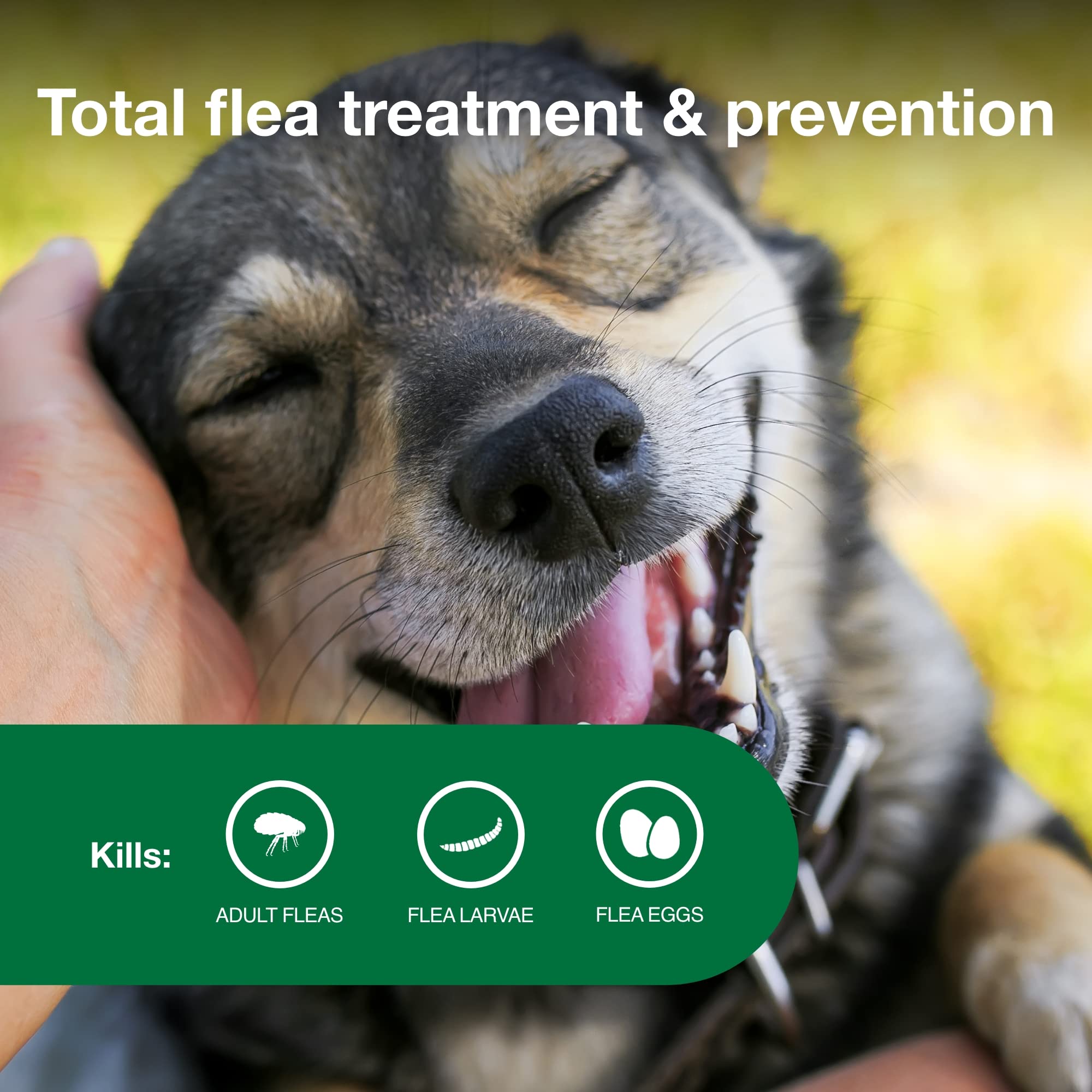 Advantage II Medium Dog 30-day protection keeps pets shielded throughout the month.
