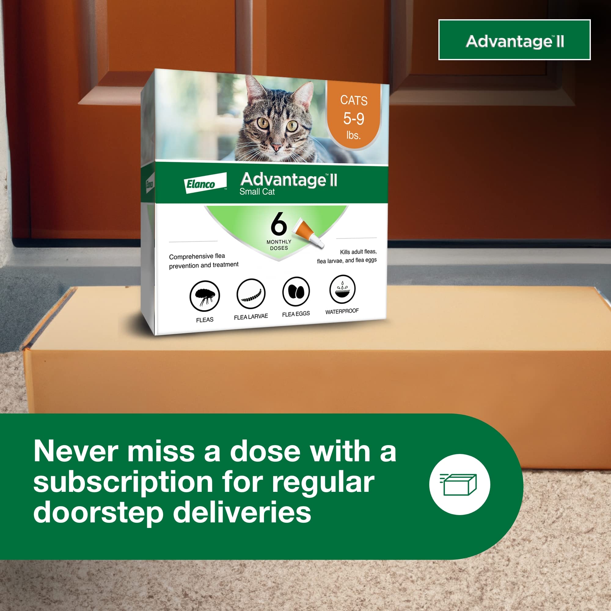 Advantage II Small Cat spot-on-application is quick and easy.