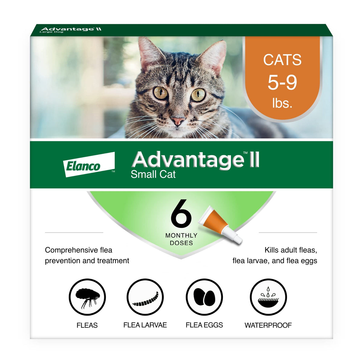 Advantage II Small Cat tube-application provides rapid flea protection on a small cat.