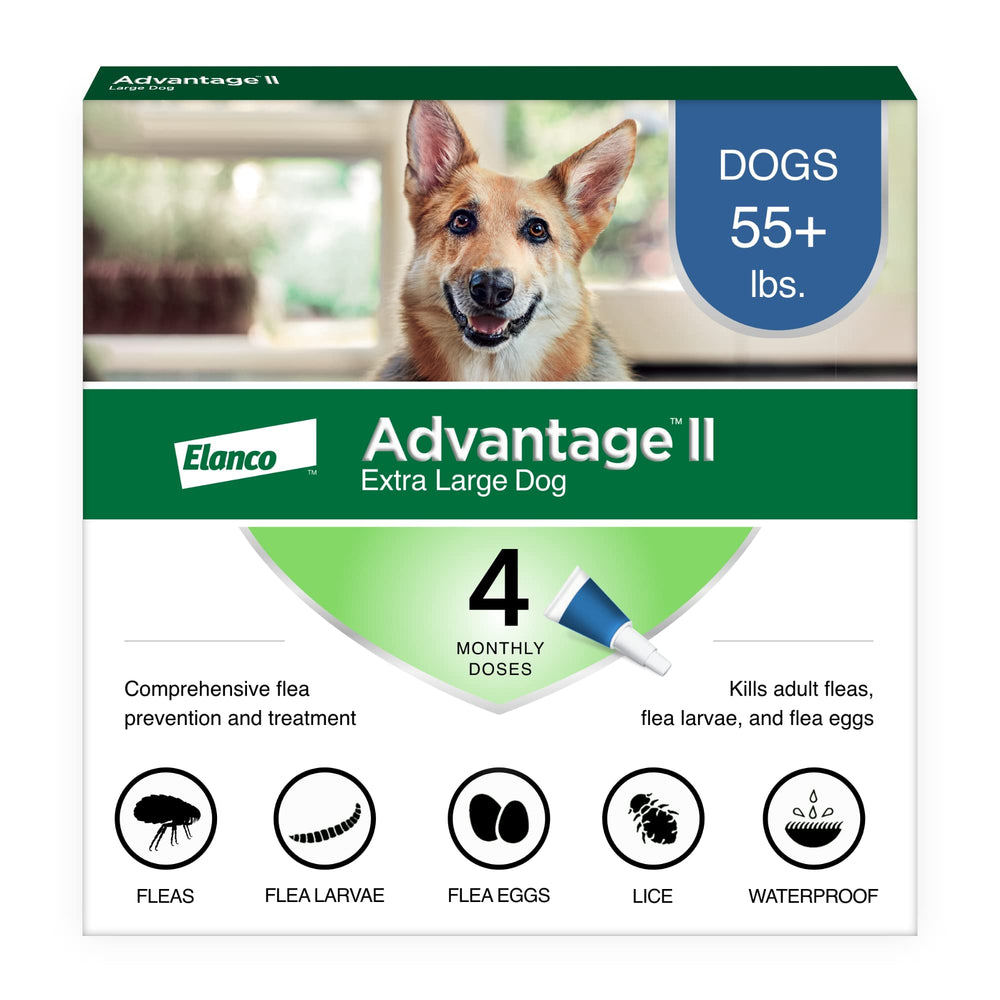 Advantage II XL bottle application for large dogs provides fast protection.
