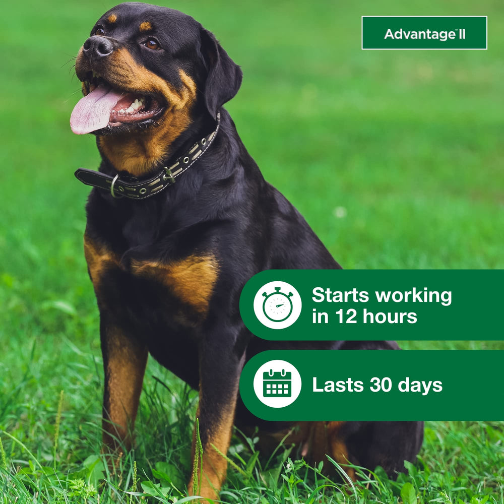Advantage II XL fragrance-free formula is gentle on dogs.