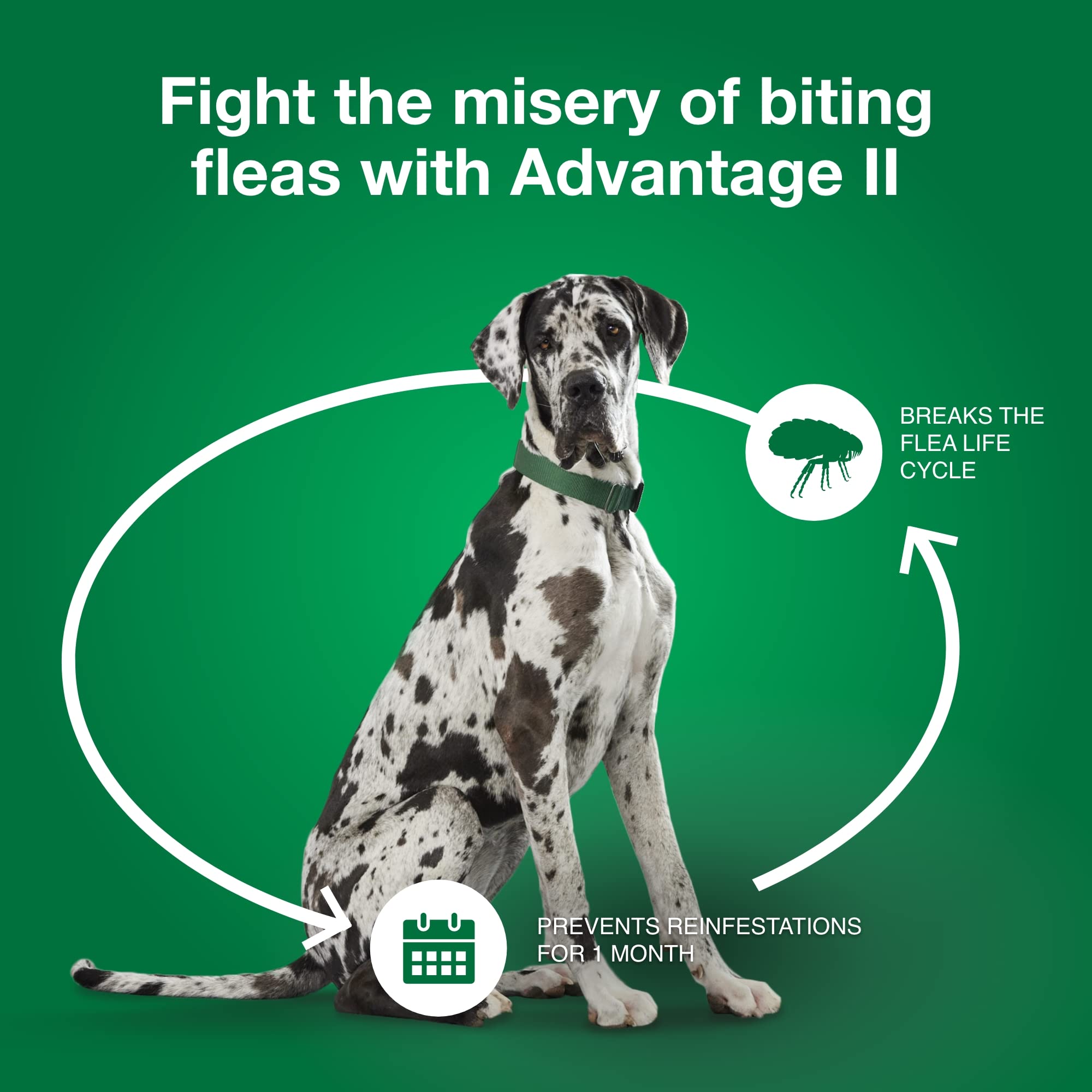 Advantage II XL suitable for indoor and outdoor dogs over 55 lbs.