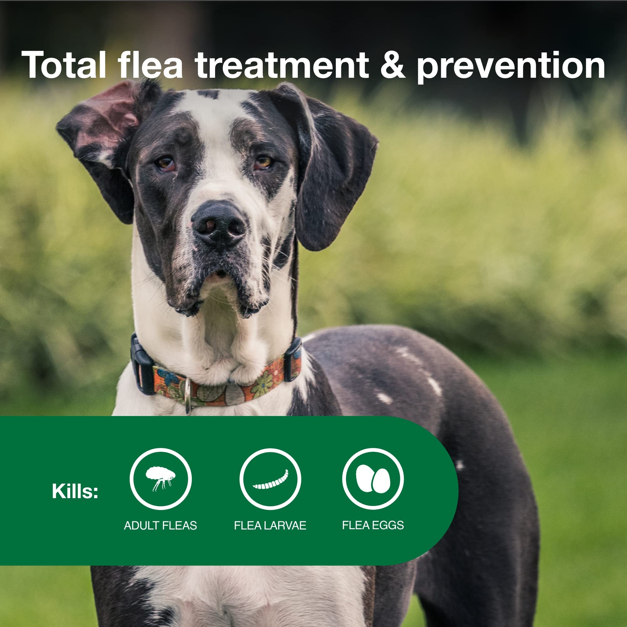 Advantage II XL kills adult fleas, larvae, and eggs on contact.