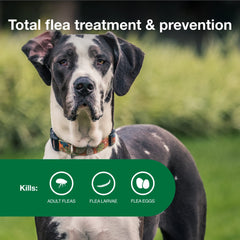 Advantage II XL kills adult fleas, larvae, and eggs on contact.