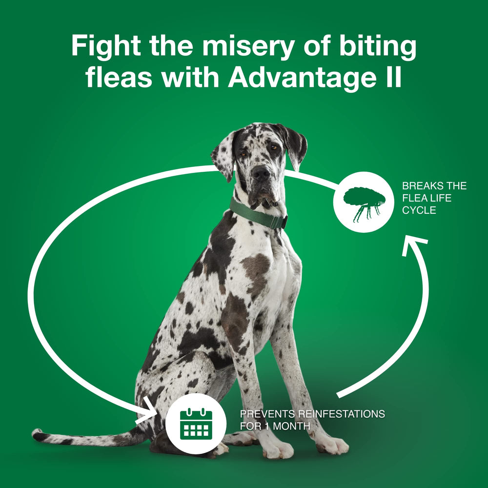 Advantage II XL waterproof after 24 hours for lasting protection.