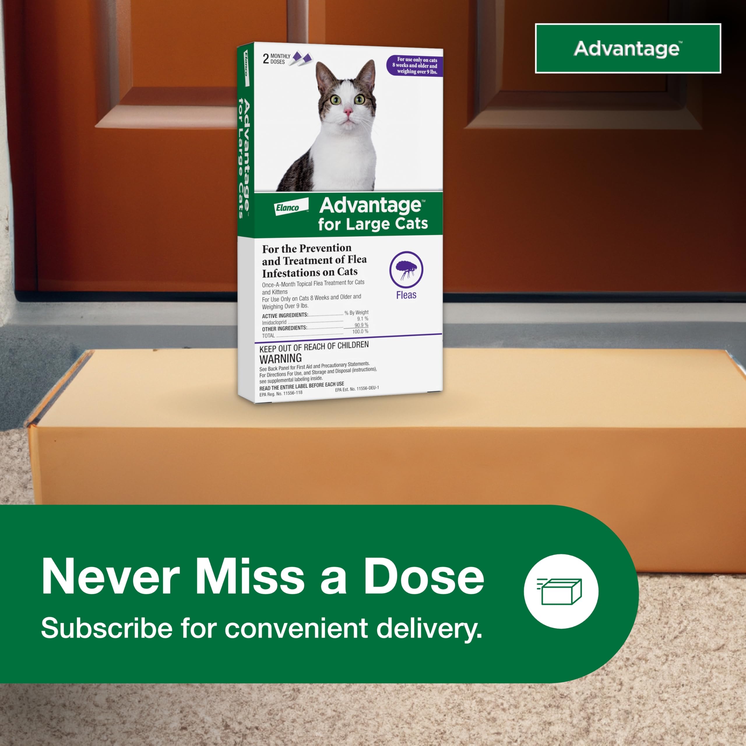 Advantage Large Cat flea drops for simple, repeatable care.