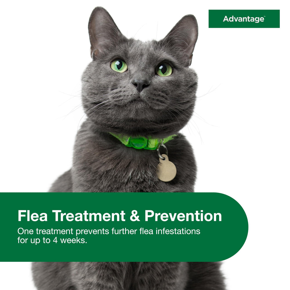 Advantage Large Cat flea drops are fragrance-free for sensitive pets.