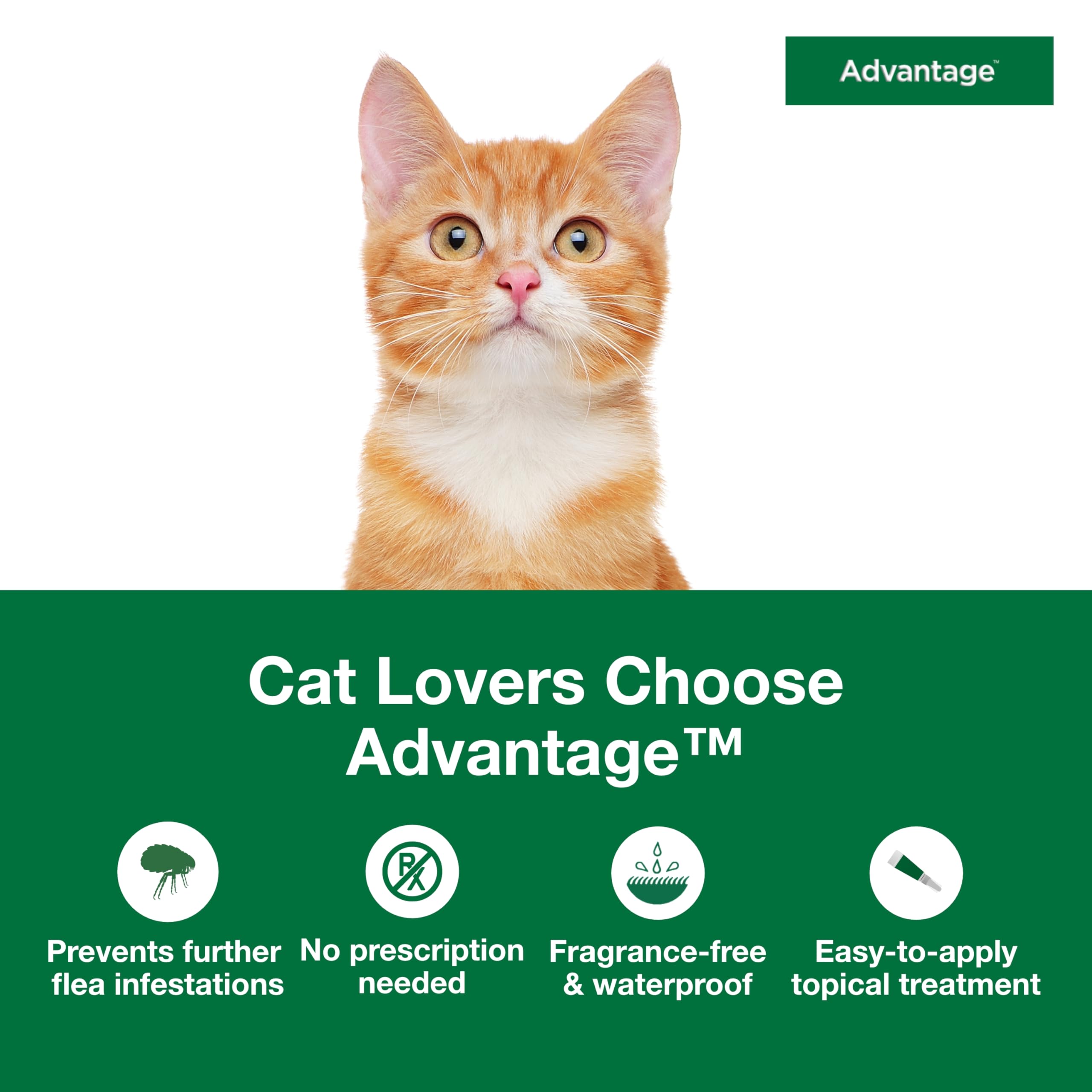 Advantage small cats flea drops monthly use for ongoing protection.