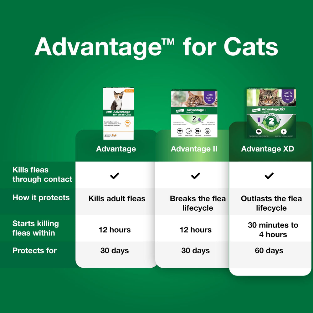 Advantage small cats flea drops demonstrate quick action within 12 hours.