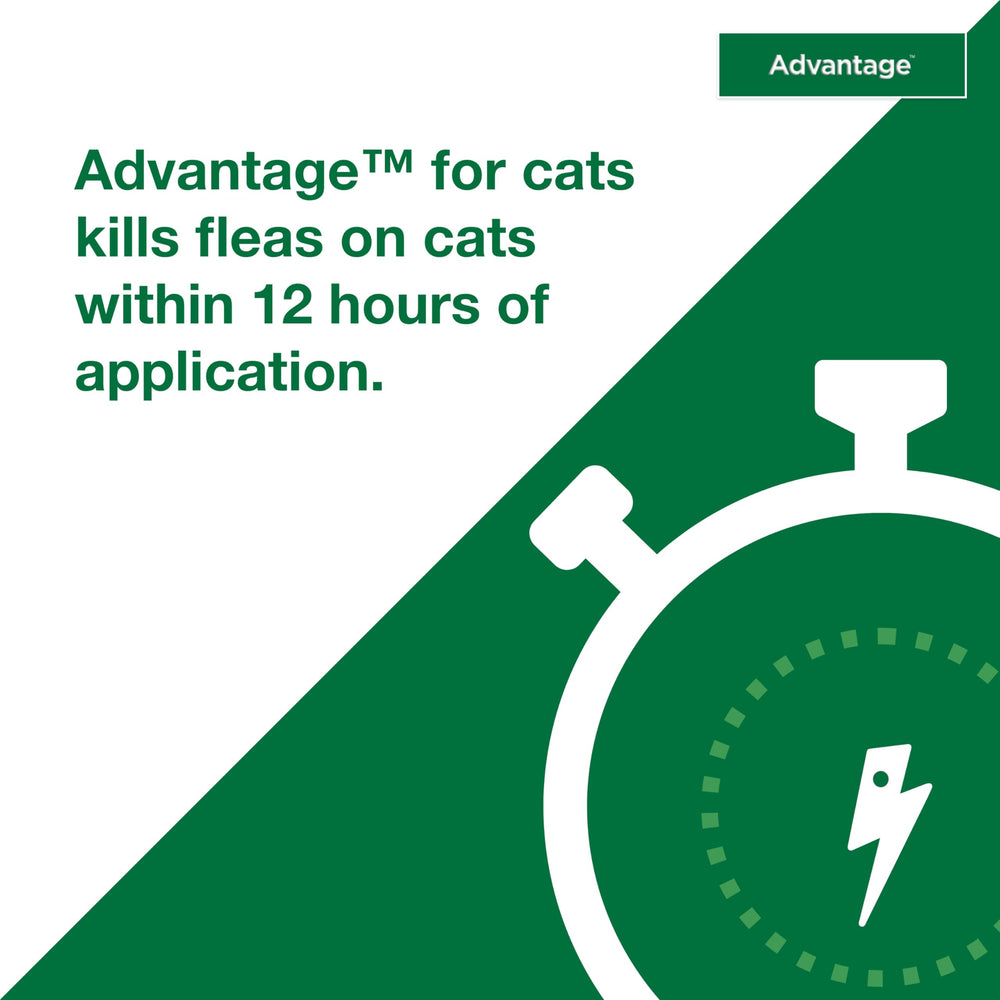 Fragrance-free flea treatment suitable for sensitive cats.