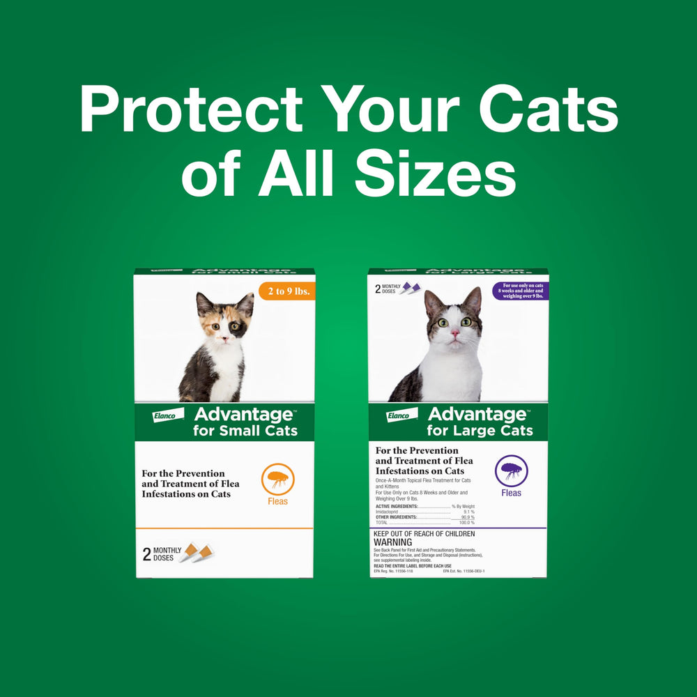 Advantage two-treatments-pack highlights extra value for ongoing protection.