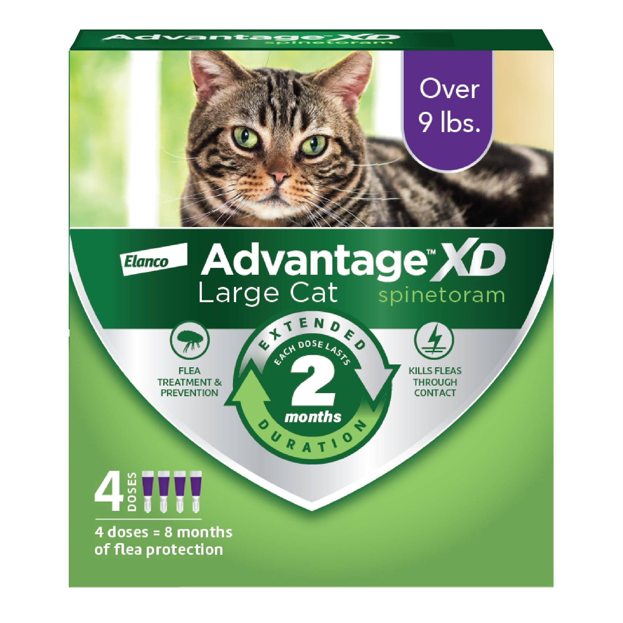 Advantage XD cat neck spot-on application demonstrates easy flea prevention.