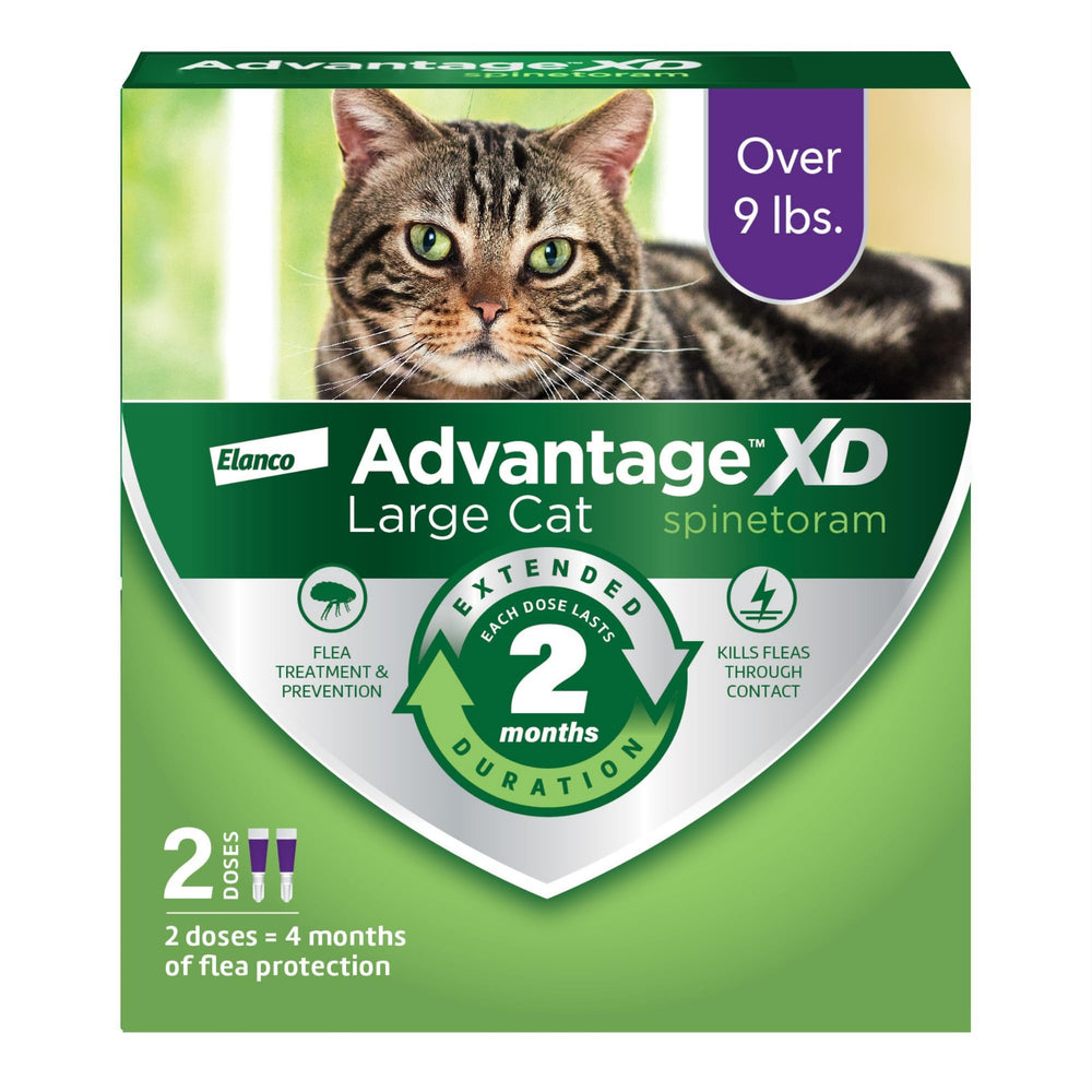 Advantage XD large cat bottle being applied at the neck for quick protection