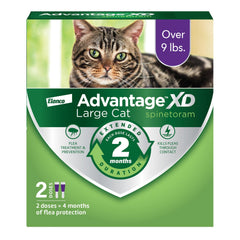 Advantage XD large cat bottle being applied at the neck for quick protection