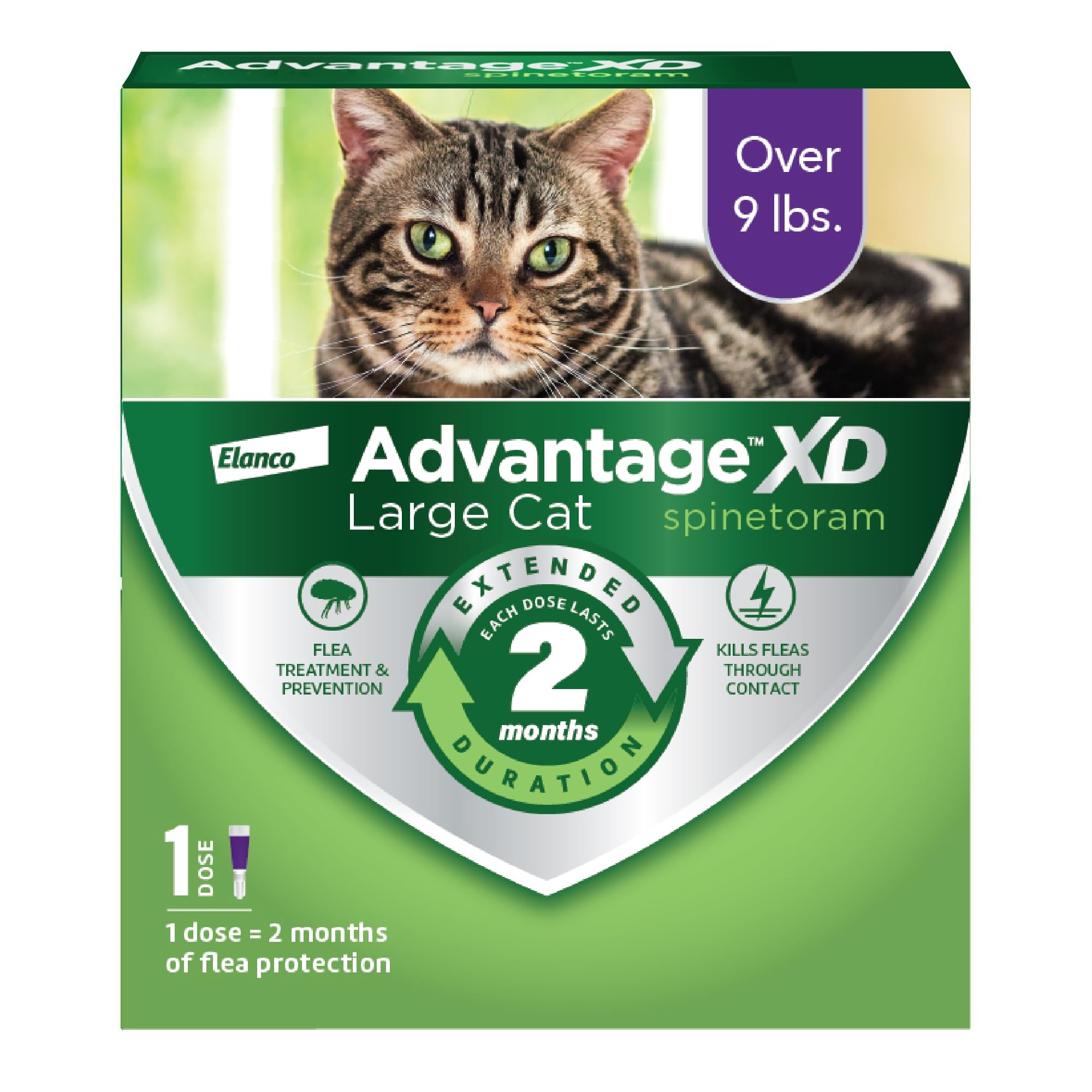 Advantage XD spot-on neck application on a large cat for easy care