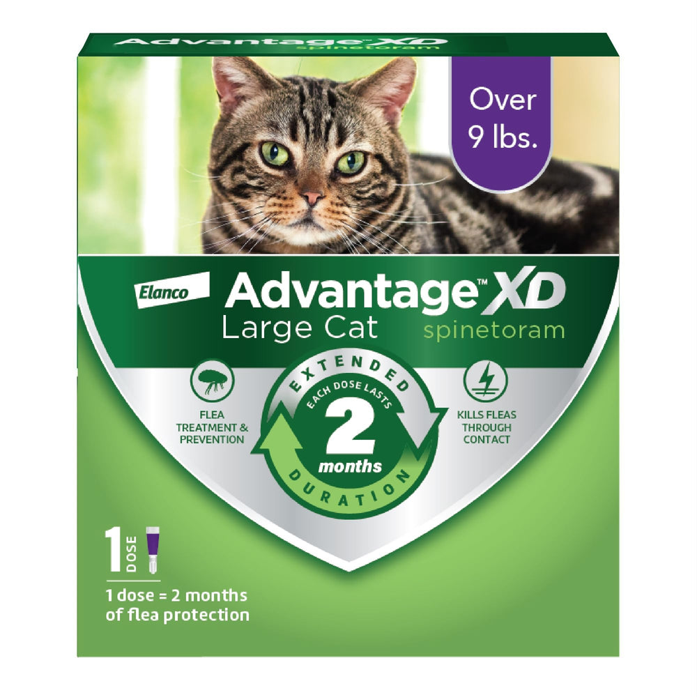 Advantage XD spot-on neck application on a large cat for easy care